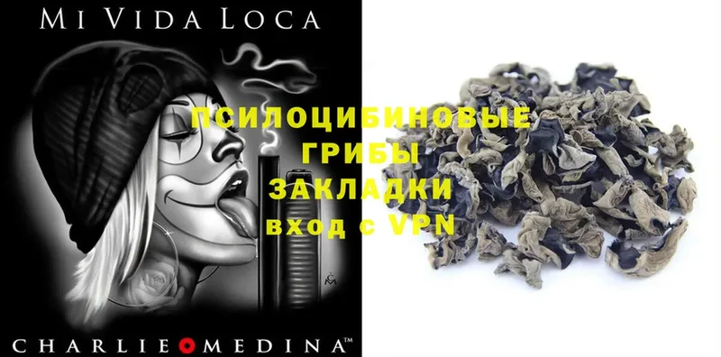 Псилоцибиновые грибы MAGIC MUSHROOMS  Химки 